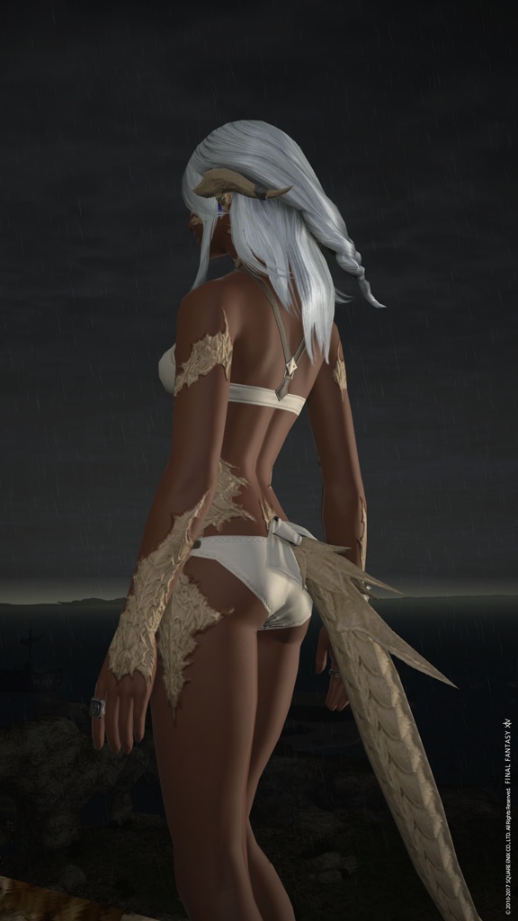 ff14 SS エロ ファイナルファンタジーXIV