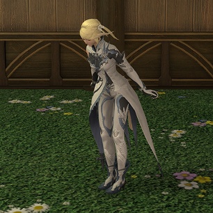 説明文必読 新生エオルゼア ファイナルファンタジーXIV: 新生エオルゼア
