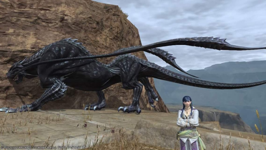 Akito Steiner 日記「中央ザナラーンAモブ」 | FINAL FANTASY XIV, The