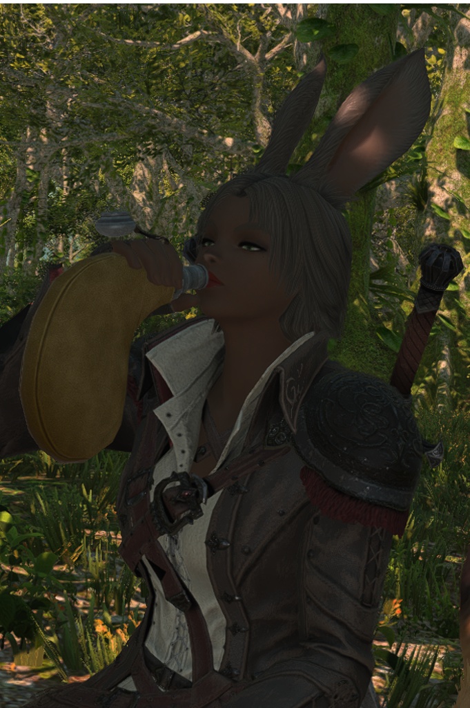 Ladonia Allaway Blog Entry `Dawntrail Benchmark` | FINAL FANTASY XIV ...