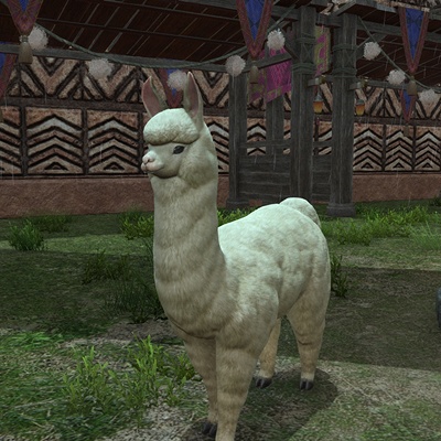 夏アルパカ 楽天市場】DECKA QUALITY SOCKS（デカ） ベビーアルパカ＆メリノウール