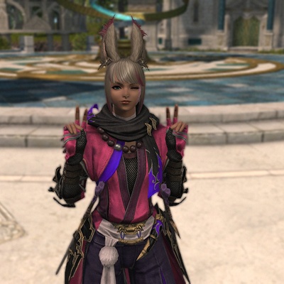 Lancelot Mazda 日記「忍者レベル90に！！ヴィエラ装備アルバム