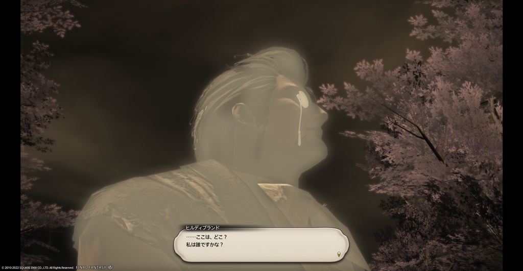 ショーケース　漆黒のヴィランズ/暁月のフィナーレ　ホイル FF14】漆黒のヴィランズ Lv73 ID ドォーヌメグ ボス / FFXIV