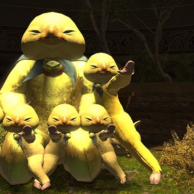 e12db80557b27852b680cb522f1d5c