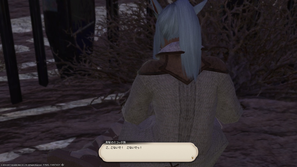 妻の作った 古物のガーランド ワルシャワの人魚 北欧の河に棲む武闘