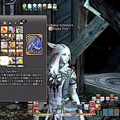 Aruka Five 日記「【トリプルトライアド】エウレカとミハシラのカードを入手出来るNPCまとめ」 | FINAL FANTASY XIV,  The Lodestone