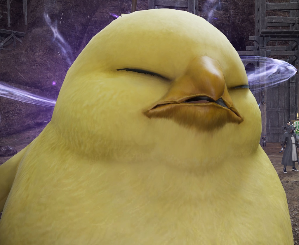 Daruma Luciana Blog Entry `Happy as a Fat Chocobo` | FINAL FANTASY XIV, The  Lodestone