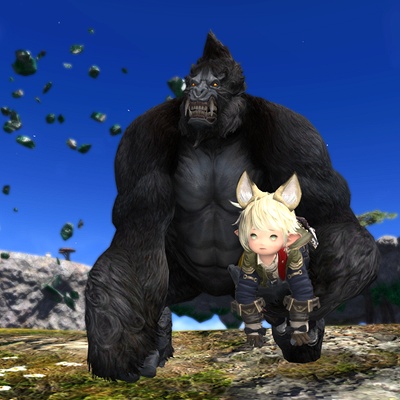 段差ゴリラ efeb753b5d28d348f1d6c680f919c3