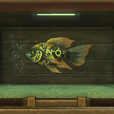 魚5 4f4b233ed1489f7fdfb4f9bfd69201