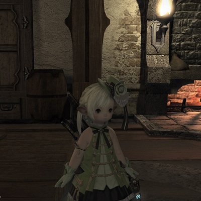 【ラク様おまとめ】SJ-14E3KP★R- 576/AQW-P70C★S-346 Suika Yaguruma Blog Entry `タンク3ジョブのLV70＿IL290AF装備