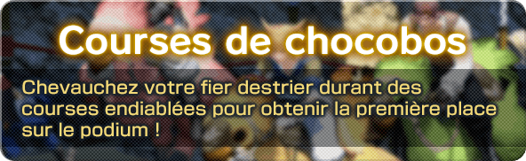 Courses de chocobos