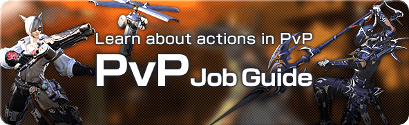 PvP Job Guide