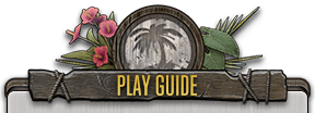 Play Guide