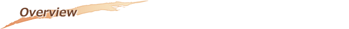 Overview