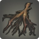 Calamus Root