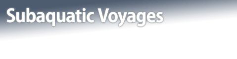 Subaquatic Voyages