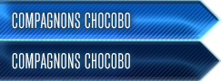 Compagnons chocobo